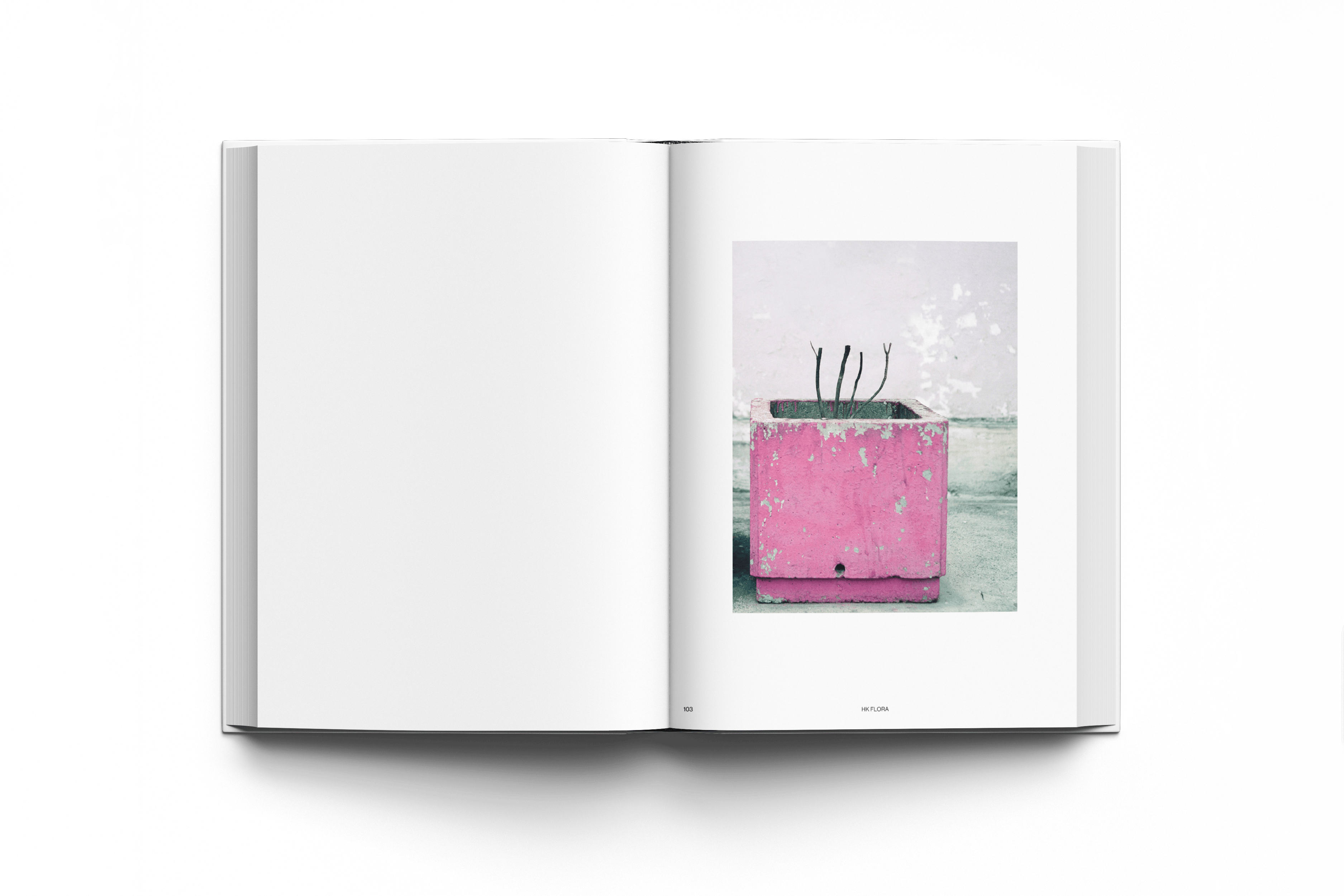 Graphic depicting a hexagonal cropped photo of an interior room design with grid lines along its borders.